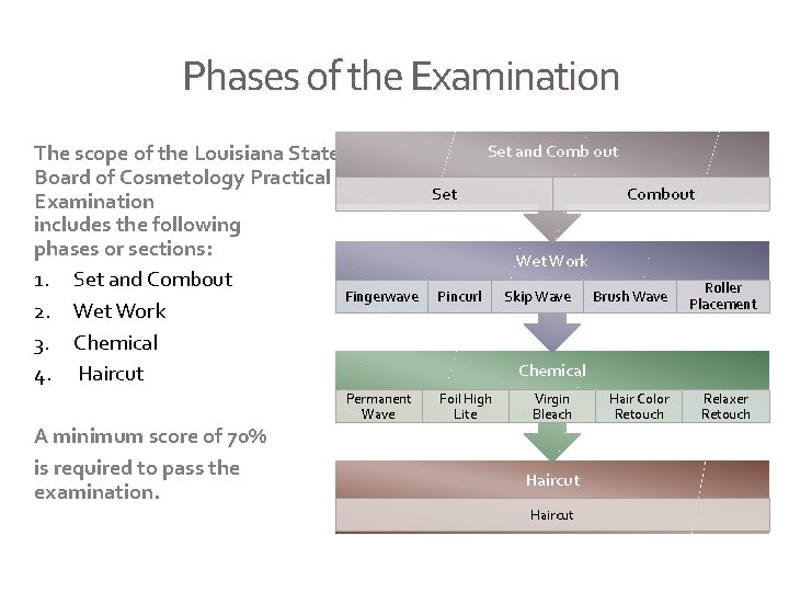 Phases of the Examination The scope of the Louisiana State Board of Cosmetology Practical