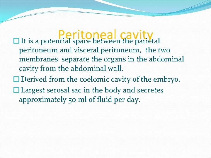 Peritoneal cavity � It is a potential space between the parietal peritoneum and visceral