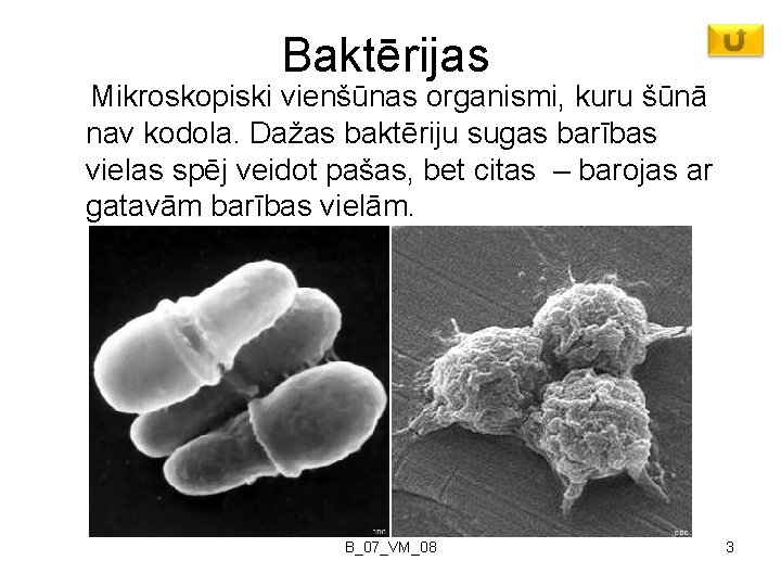 Baktērijas Mikroskopiski vienšūnas organismi, kuru šūnā nav kodola. Dažas baktēriju sugas barības vielas spēj