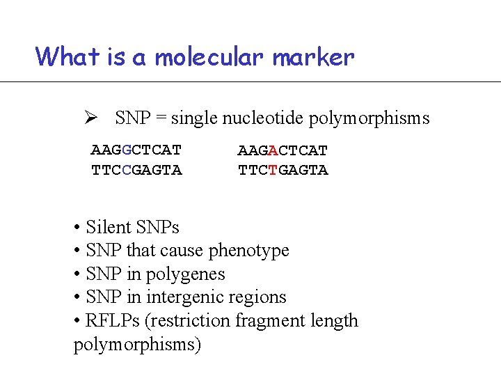 What is a molecular marker Ø SNP = single nucleotide polymorphisms AAGGCTCAT TTCCGAGTA AAGACTCAT