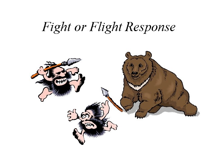Fight or Flight Response 