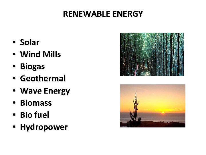 RENEWABLE ENERGY • • Solar Wind Mills Biogas Geothermal Wave Energy Biomass Bio fuel