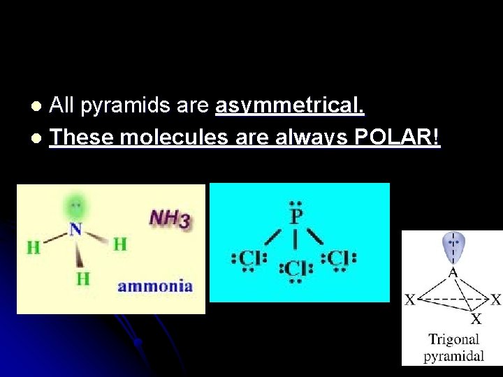 All pyramids are asymmetrical. l These molecules are always POLAR! l 