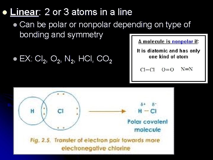 l Linear: 2 or 3 atoms in a line l Can be polar or