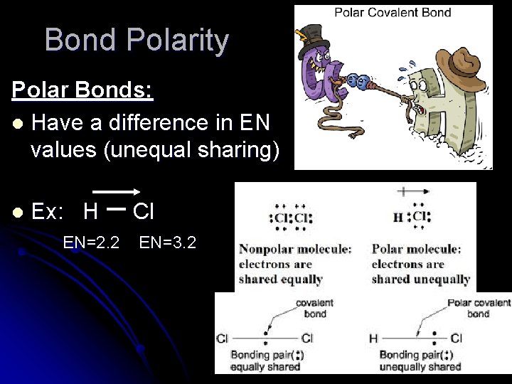 Bond Polarity Polar Bonds: l Have a difference in EN values (unequal sharing) l