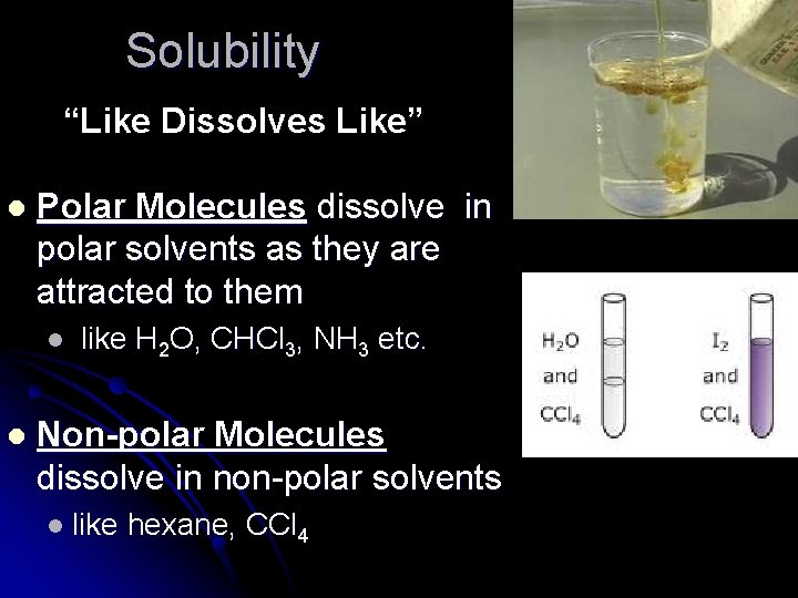 Solubility “Like Dissolves Like” l Polar Molecules dissolve in polar solvents as they are