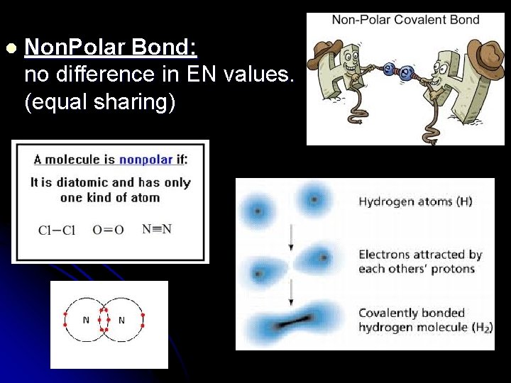 l Non. Polar Bond: no difference in EN values. (equal sharing) 