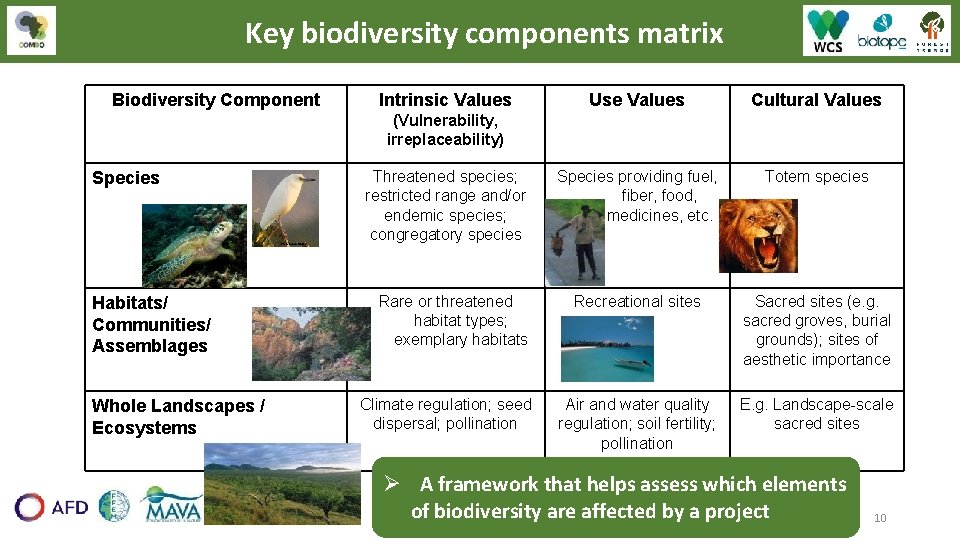 Key biodiversity components matrix Biodiversity Component Intrinsic Values Use Values Cultural Values Species providing