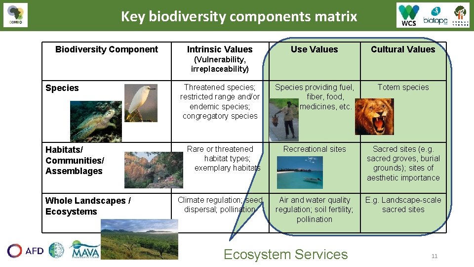 Key biodiversity components matrix Biodiversity Component Intrinsic Values Use Values Cultural Values Species providing