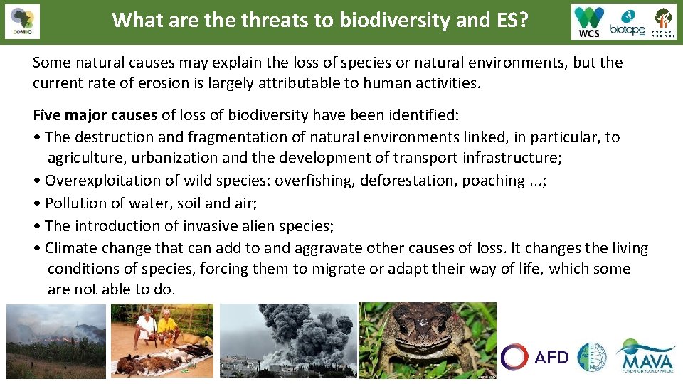 What are threats to biodiversity and ES? Some natural causes may explain the loss