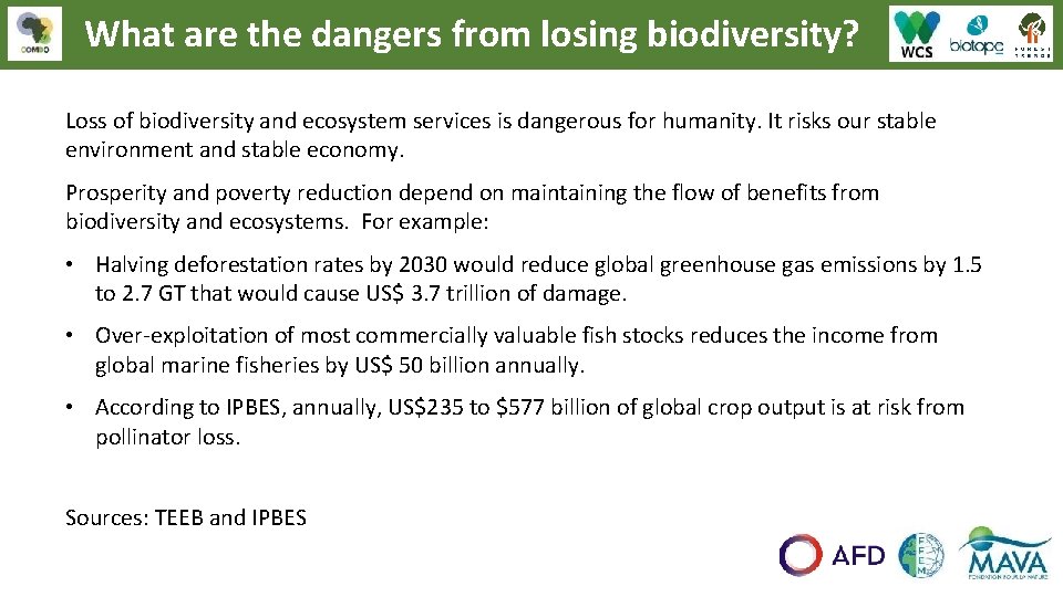 What are the dangers from losing biodiversity? Loss of biodiversity and ecosystem services is