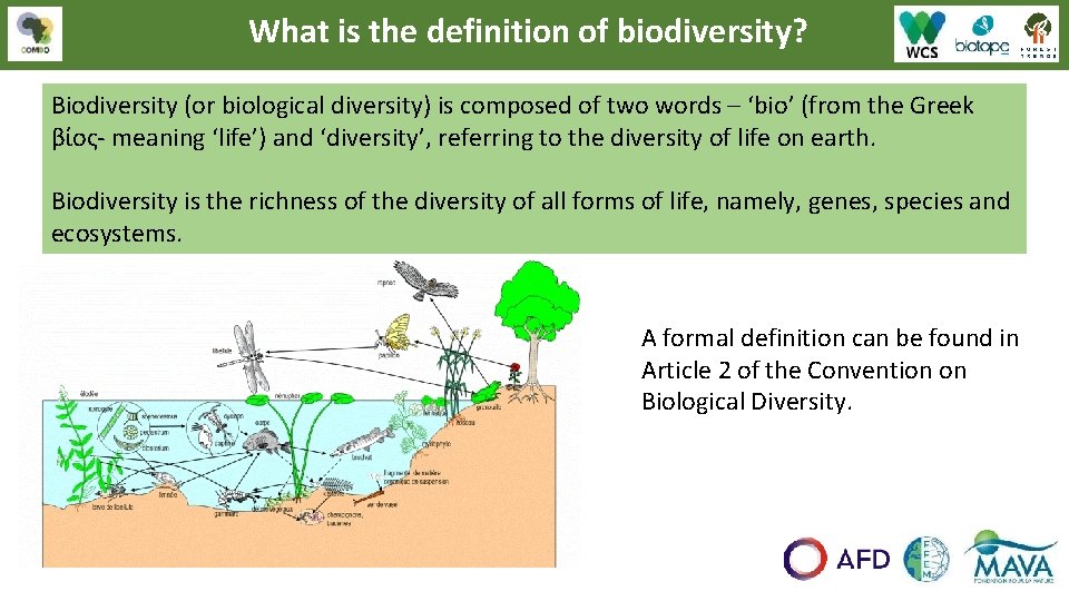 What is the definition of biodiversity? Biodiversity (or biological diversity) is composed of two