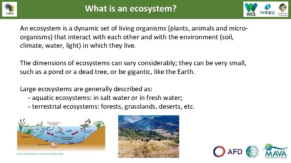What is an ecosystem? An ecosystem is a dynamic set of living organisms (plants,