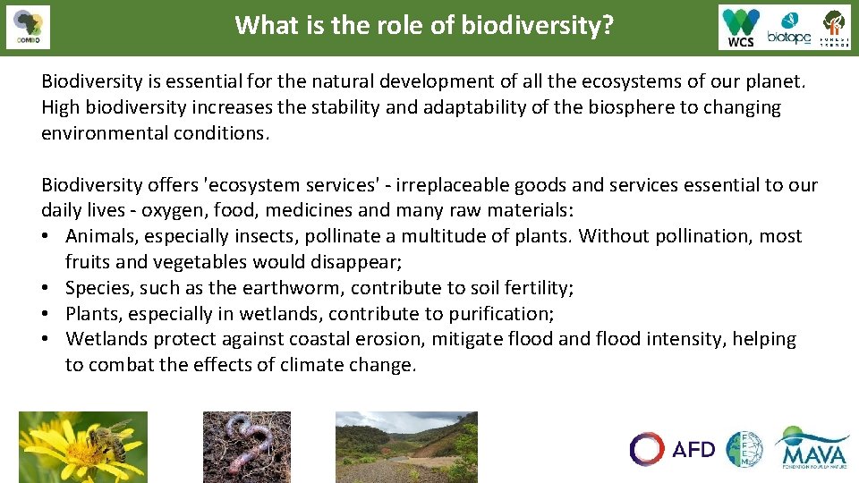 What is the role of biodiversity? Biodiversity is essential for the natural development of