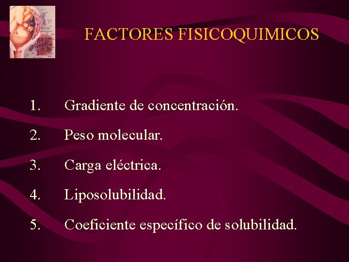 FACTORES FISICOQUIMICOS 1. Gradiente de concentración. 2. Peso molecular. 3. Carga eléctrica. 4. Liposolubilidad.