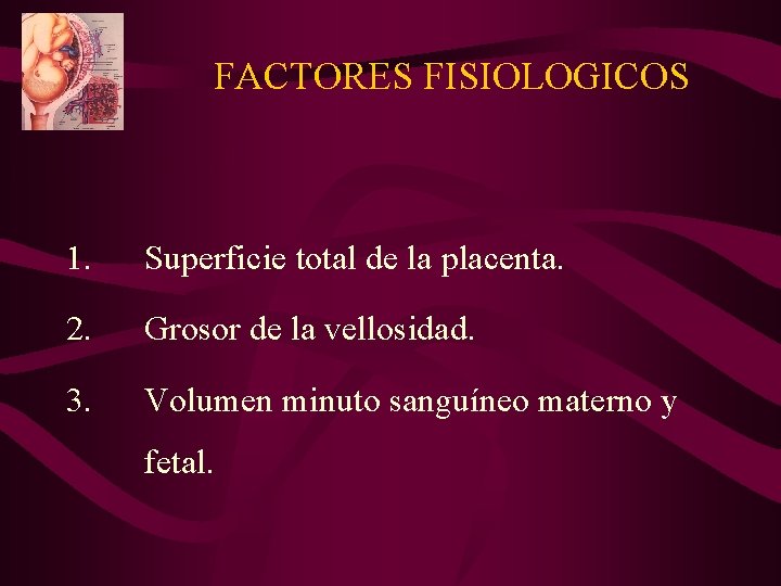 FACTORES FISIOLOGICOS 1. Superficie total de la placenta. 2. Grosor de la vellosidad. 3.