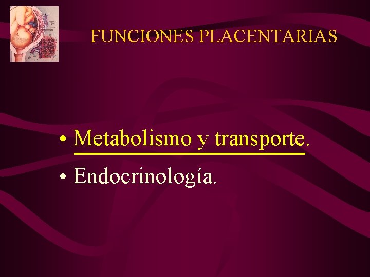 FUNCIONES PLACENTARIAS • Metabolismo y transporte. • Endocrinología. 