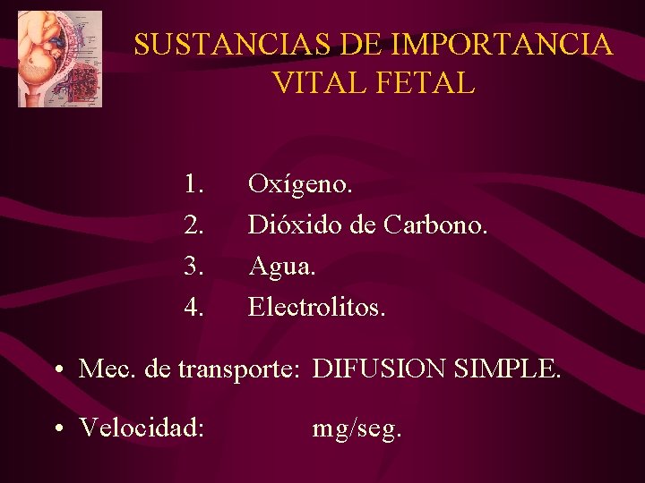 SUSTANCIAS DE IMPORTANCIA VITAL FETAL 1. 2. 3. 4. Oxígeno. Dióxido de Carbono. Agua.