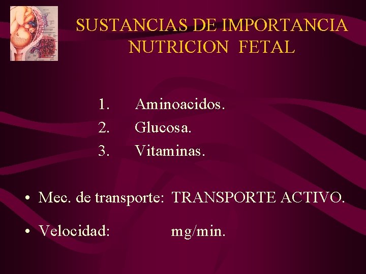 SUSTANCIAS DE IMPORTANCIA NUTRICION FETAL 1. 2. 3. Aminoacidos. Glucosa. Vitaminas. • Mec. de SUSTANCIAS DE IMPORTANCIA NUTRICION FETAL 1. 2. 3. Aminoacidos. Glucosa. Vitaminas. • Mec. de