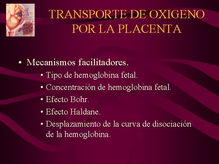 TRANSPORTE DE OXIGENO POR LA PLACENTA • Mecanismos facilitadores. • Tipo de hemoglobina fetal. TRANSPORTE DE OXIGENO POR LA PLACENTA • Mecanismos facilitadores. • Tipo de hemoglobina fetal.
