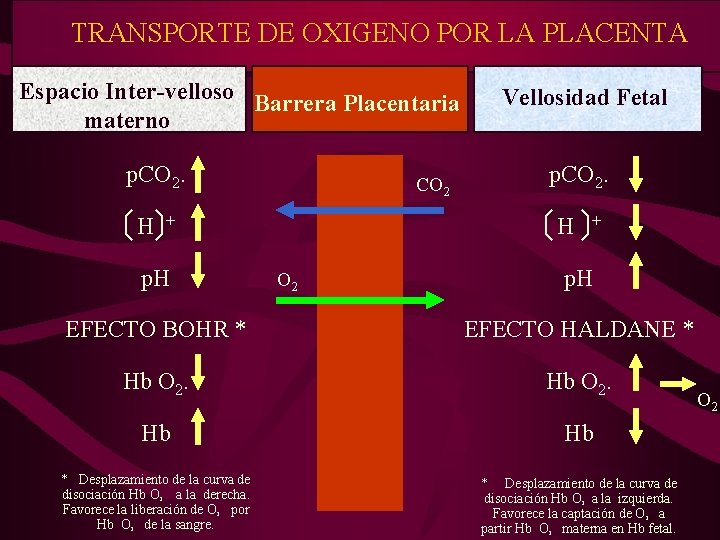 TRANSPORTE DE OXIGENO POR LA PLACENTA Espacio Inter-velloso Barrera Placentaria materno p. CO 2.