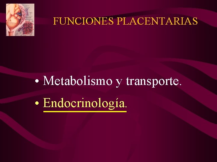 FUNCIONES PLACENTARIAS • Metabolismo y transporte. • Endocrinología. 