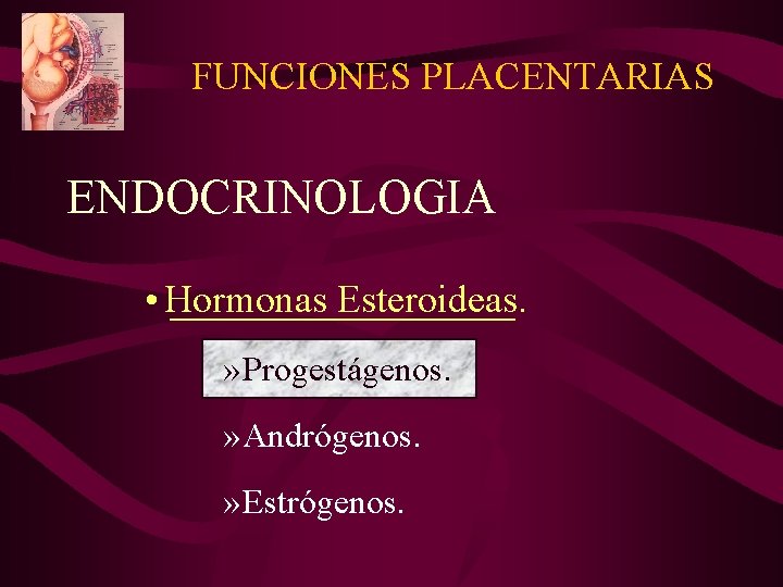 FUNCIONES PLACENTARIAS ENDOCRINOLOGIA • Hormonas Esteroideas. » Progestágenos. » Andrógenos. » Estrógenos. FUNCIONES PLACENTARIAS ENDOCRINOLOGIA • Hormonas Esteroideas. » Progestágenos. » Andrógenos. » Estrógenos.