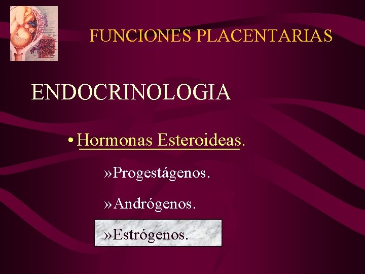FUNCIONES PLACENTARIAS ENDOCRINOLOGIA • Hormonas Esteroideas. » Progestágenos. » Andrógenos. » Estrógenos. 