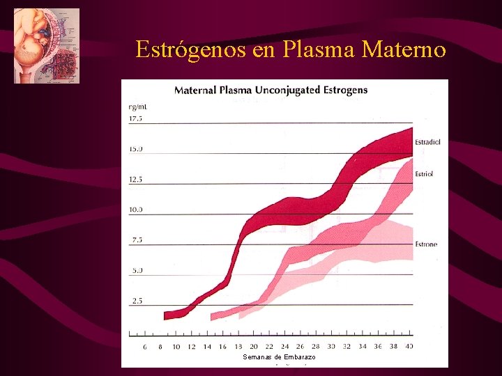 Estrógenos en Plasma Materno Semanas de Embarazo 