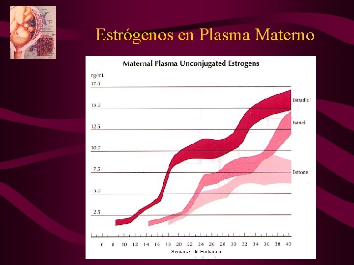 Estrógenos en Plasma Materno Semanas de Embarazo Estrógenos en Plasma Materno Semanas de Embarazo
