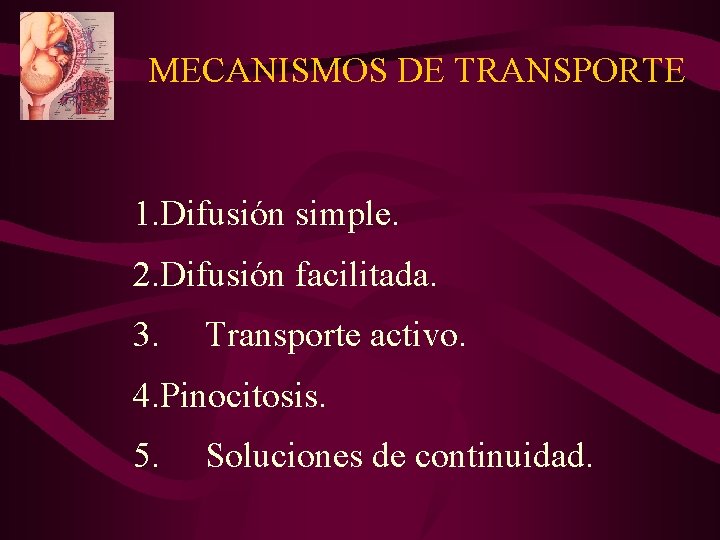 MECANISMOS DE TRANSPORTE 1. Difusión simple. 2. Difusión facilitada. 3. Transporte activo. 4. Pinocitosis.