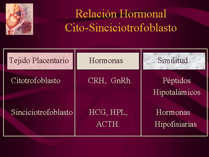 Relación Hormonal Cito-Sinciciotrofoblasto Tejido Placentario Hormonas Similitud Citotrofoblasto CRH, Gn. Rh. Péptidos Hipotalámicos Sinciciotrofoblasto