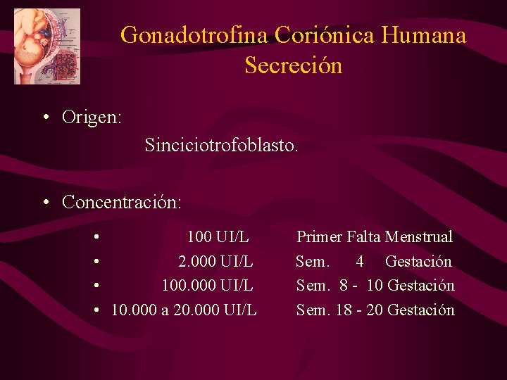 Gonadotrofina Coriónica Humana Secreción • Origen: Sinciciotrofoblasto. • Concentración: • 100 UI/L • 2.