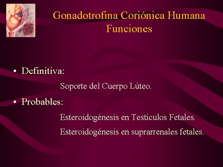 Gonadotrofina Coriónica Humana Funciones • Definitiva: Soporte del Cuerpo Lúteo. • Probables: Esteroidogénesis en