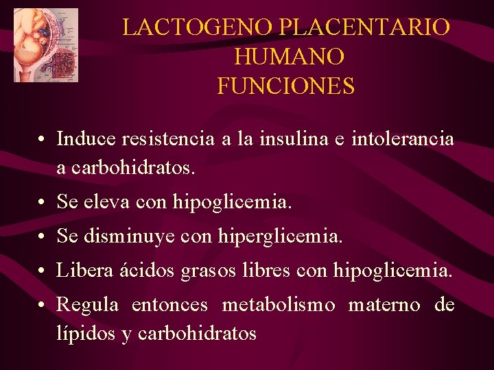 LACTOGENO PLACENTARIO HUMANO FUNCIONES • Induce resistencia a la insulina e intolerancia a carbohidratos.