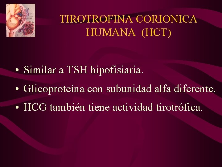 TIROTROFINA CORIONICA HUMANA (HCT) • Similar a TSH hipofisiaria. • Glicoproteína con subunidad alfa