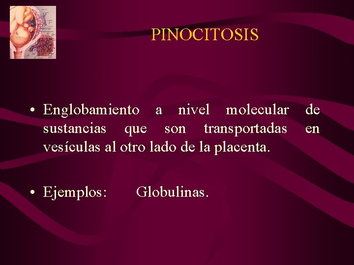 PINOCITOSIS • Englobamiento a nivel molecular sustancias que son transportadas vesículas al otro lado PINOCITOSIS • Englobamiento a nivel molecular sustancias que son transportadas vesículas al otro lado