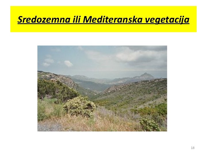 Sredozemna ili Mediteranska vegetacija 18 