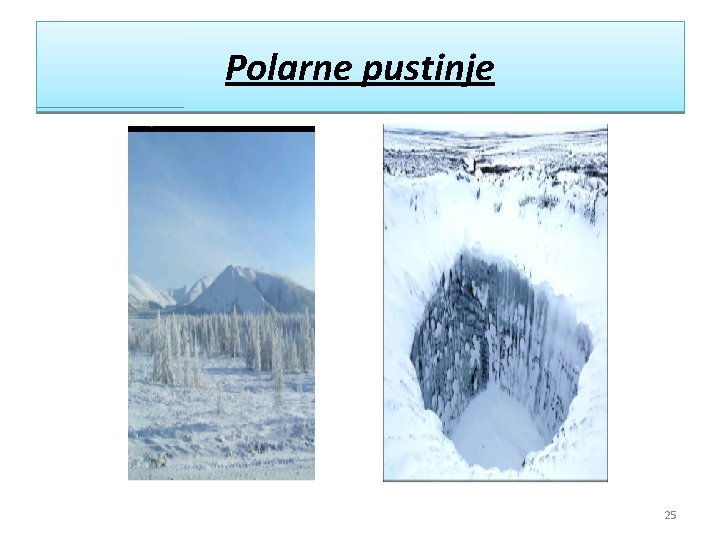 Polarne pustinje 25 