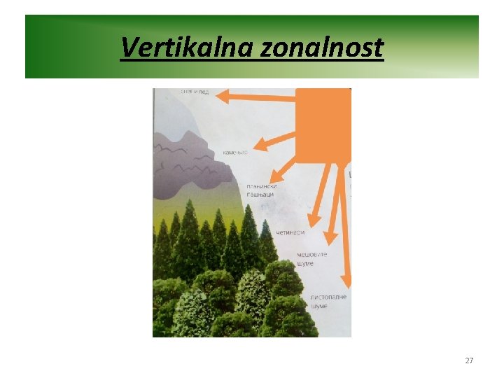 Vertikalna zonalnost 27 