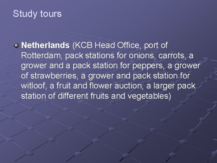 Study tours Netherlands (KCB Head Office, port of Rotterdam, pack stations for onions, carrots,