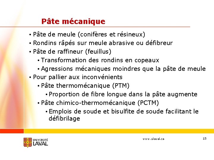 Pâte mécanique • Pâte de meule (conifères et résineux) • Rondins râpés sur meule