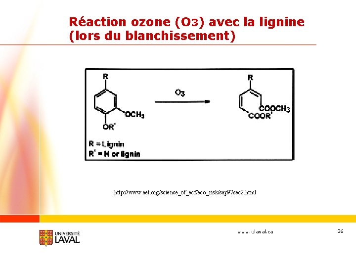 Réaction ozone (O 3) avec la lignine (lors du blanchissement) http: //www. aet. org/science_of_ecf/eco_risk/sap