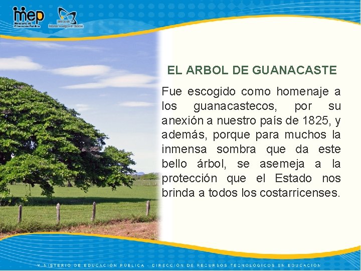 EL ARBOL DE GUANACASTE Fue escogido como homenaje a los guanacastecos, por su anexión