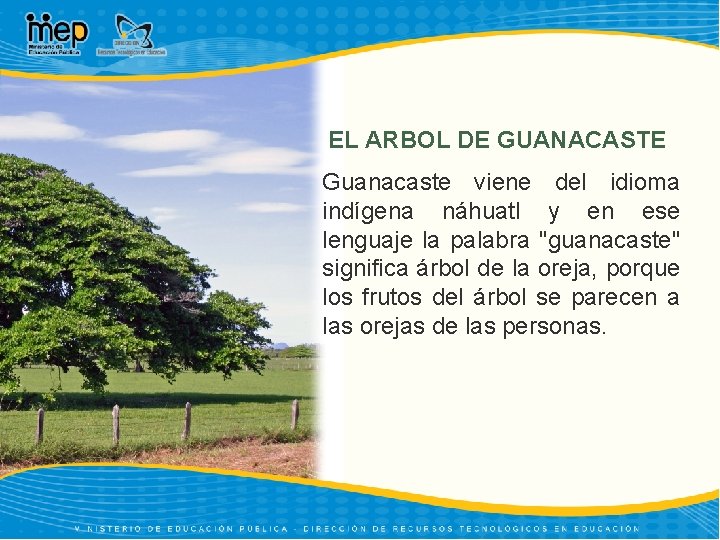 EL ARBOL DE GUANACASTE Guanacaste viene del idioma indígena náhuatl y en ese lenguaje