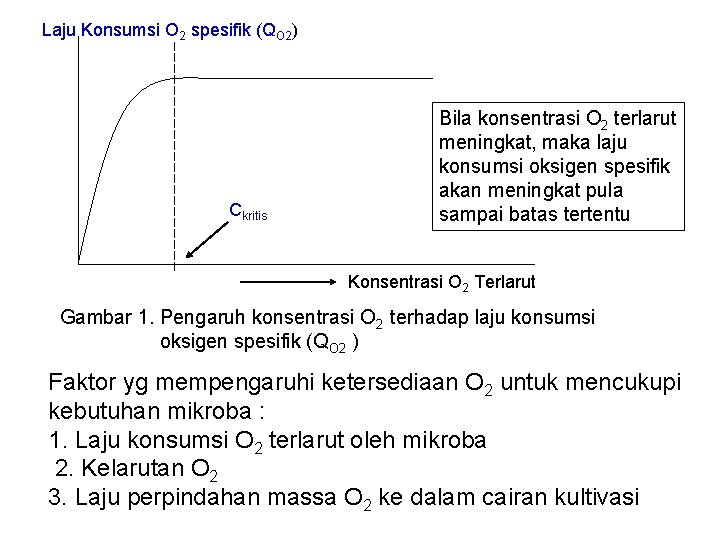 Laju Konsumsi O 2 spesifik (QO 2) Ckritis Bila konsentrasi O 2 terlarut meningkat,