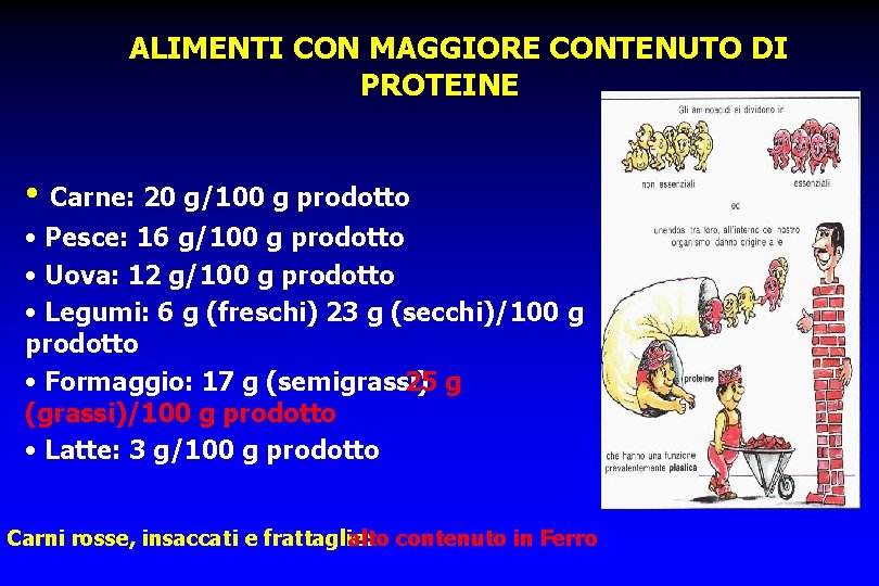 ALIMENTI CON MAGGIORE CONTENUTO DI PROTEINE • Carne: 20 g/100 g prodotto • Pesce: