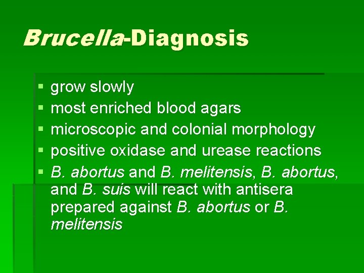 Brucella-Diagnosis § § § grow slowly most enriched blood agars microscopic and colonial morphology