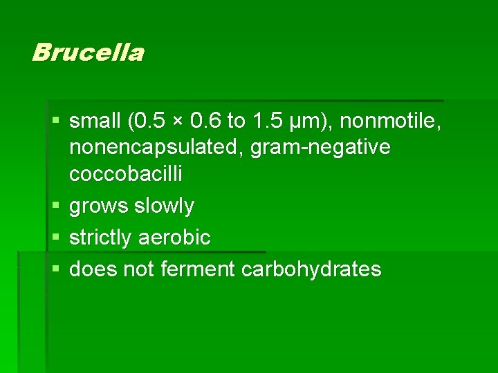 Brucella § small (0. 5 × 0. 6 to 1. 5 μm), nonmotile, nonencapsulated,