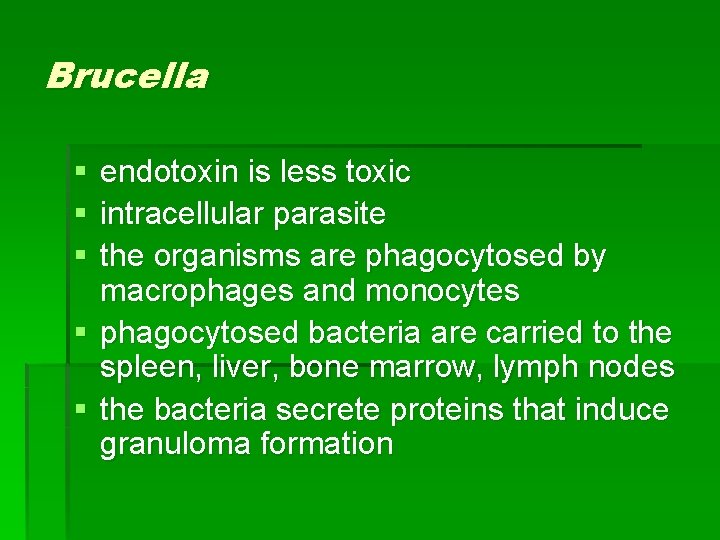 Brucella § § § endotoxin is less toxic intracellular parasite the organisms are phagocytosed